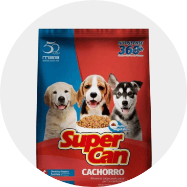 Alimentos para perros